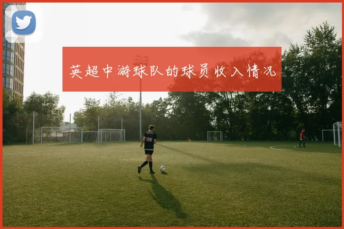 英超中游球队的球员收入情况